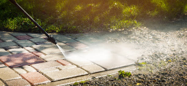 Best Roof Washing  in Lely, FL
